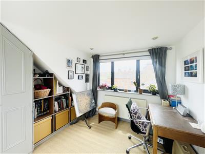 Picture 21